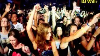 VIBRATIONS # 29 - MiniMal - Tech House - DJ Willi