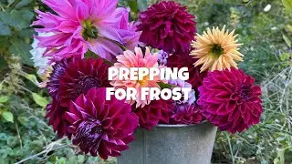 Late October Garden Tasks &mdash; First Frost Prep + Fall Harvests