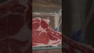 Sea Water SOAKED Steak!
