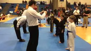 Positive Impact Martial Arts Championship 2014