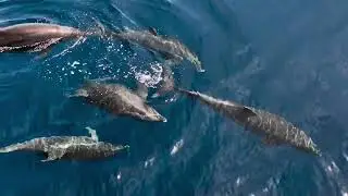 BEST OF Dolby Vision HDR 4K Video ULTRA HD (60 FPS) #relaxingmusic #naturevideos #Beautiful