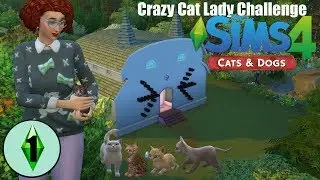 Crazy Cat Lady Challenge  II The Sims 4 - Cats and Dogs  II  Part 1 - Herding Cats