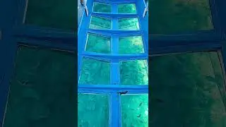 Montego Bay Glass Bottom Boat with Snorkeling #travel #jamaica #beach #tour #excursion #snorkeling