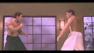 Fight Scene from Crescent Moon