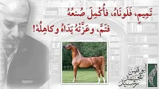 رَوعة التدرُّج ⚜️ والإيجاز ⚜️ والنَّسَق⚜️ والتتميم ⚜️ في بيتِ زهير بن أبي سُلمى (تميمٍ فَلَوناهُ)❗️