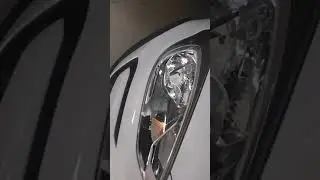 Ford freestyle ambient model review