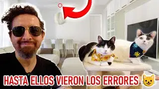 GATOS FAMOSOS Viven en el Apartamento PEOR Diseñado