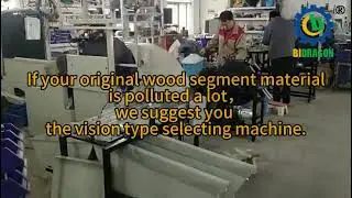 Ice Cream Stick Wheel Vision Selecting Machine from China Manufacturers Price#icecreamsticks #china