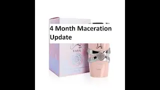 4 Month Maceration Update on Yara EDP by Lattafa | Fragrances #269