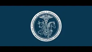 Transmissão ao vivo de LACAV - (conta temporária)