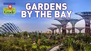 Singapore | Enchanting Gardens | MM Travel Guide | Marina Reservoir | Travel Videos