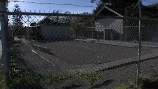 Berkeley nursery owner hopes to cultivate cannabis