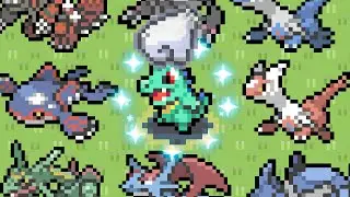 I Caught Every Pokemon For This Shiny