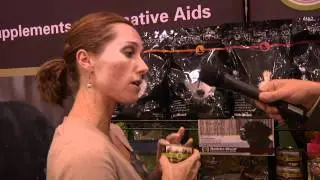 Pet Toys Holistic Blend