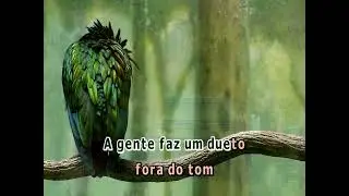 15328 - Clarice Falc&atilde;o  - DE TODOS OS LOUCOS DO MUNDO ==Karaoke&ndash;Videoke &ndash; Playback - Raf electronics