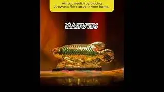 Arowana Fish Statue for attracting wealth #vaastutips #youtubeshorts #subscribe #viral
