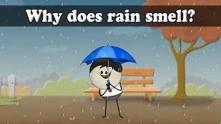 Why does rain smell? | #aumsum #kids #science #education #children