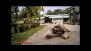 DROP IT LIKE IT'S SLOTH