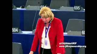 HS2 a flawed EU vanity project - Jill Seymour MEP