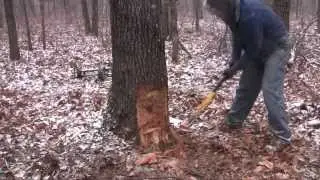 2013 - Tree Cutting, Cistern Water Issues, An Oak Fence
