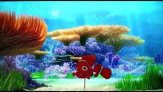 NEMO FIND HIS FATHER