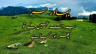 Bahadur Sar Shangla A Piece Of Paradise