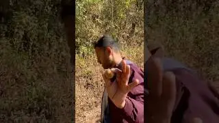 Нажмите здесь 👉