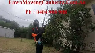 Lawn mowing services prices | LawnMowingCanberra.com.au | Mobile lawn mower repairs Canberra