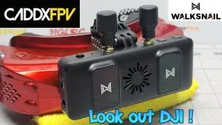 Walksnail Avatar VRX HD V2 System - CADDX FPV Perfection  📡