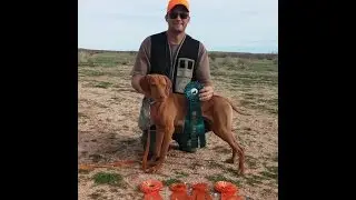 Firestorm Pacific Duke - AKC Junior Hunt test @ 7.5 months