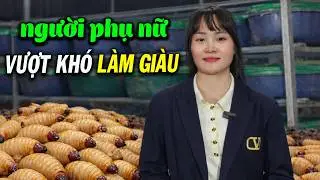 Người Phụ Nữ Ở Tuyên Quang Vươn Lên Làm Giàu Từ Mô Hình Nuôi Đuông Dừa Thái Lan
