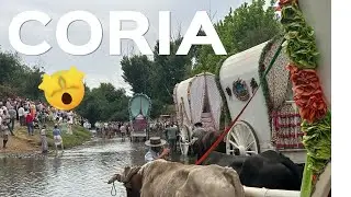 HERMANDAD DEL ROC&Iacute;O DE CORIA👉LA VUELTA