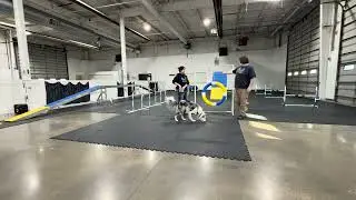 (1/12/26) Agility, Session 1