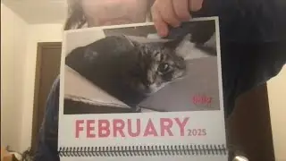 Chip Got Featured In A 2025 Cat Calendar!