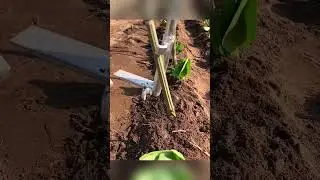 Smart tools for farm #shorts #tienichthongminh