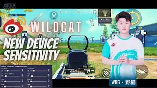 WBG Wildcat Set New Android Sensitivity at Training Ground