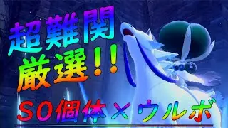 【ポケモン剣盾】超難関厳選！？ ウルボでS0ブリザポスを捕まえるとどれくらい時間が掛かるの？【冠の雪原】