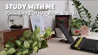 Study with Me 2H | Pomodoro 50/10 | No Music |  Calming River & Birds | Urban Jungle