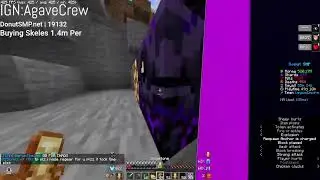 Rating Bases + Gambling + Auctions + Bounties | DONUT SMP LIVE