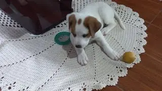 ELA CHEGOU PRA FICAR