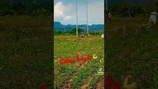 150 sahod @Jirang story