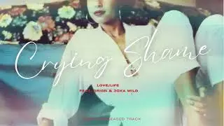 Love/ Life: Crying Shame Feat. Orion & Joka Wild (Miami 2009)