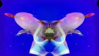 Mindtality LIVE @ The Universal Emotion 2020 (KAN Visuals)