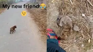 Ye kitni cute hai 😊.Aaj bhi bharaav nhi hua.#vlogger