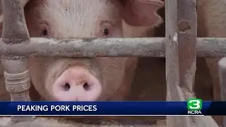 New study points to California law for rising pork prices