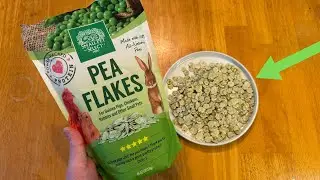 Small Pet Select - Pea Flakes, Treats for Rabbit Bunny, Guinea Pig, Chickens, Bunny, Hamster