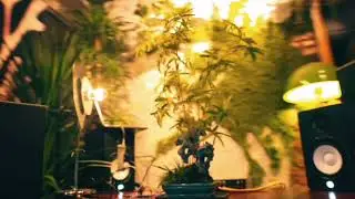 Whispers of the Verdant Grove - Interactive Installation Art