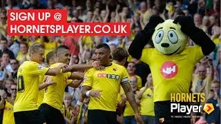 RECORD SUBSCRIBER NUMBERS: Hornets Player Highlights