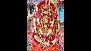KARAZHMA AREEPPARA 2019/ കാരാഴ്&zwnj;മ അരീപ്പറ 2019/FULL ULTRA HD