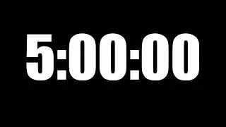 5 Hour Timer - No Music - Alarm Sound